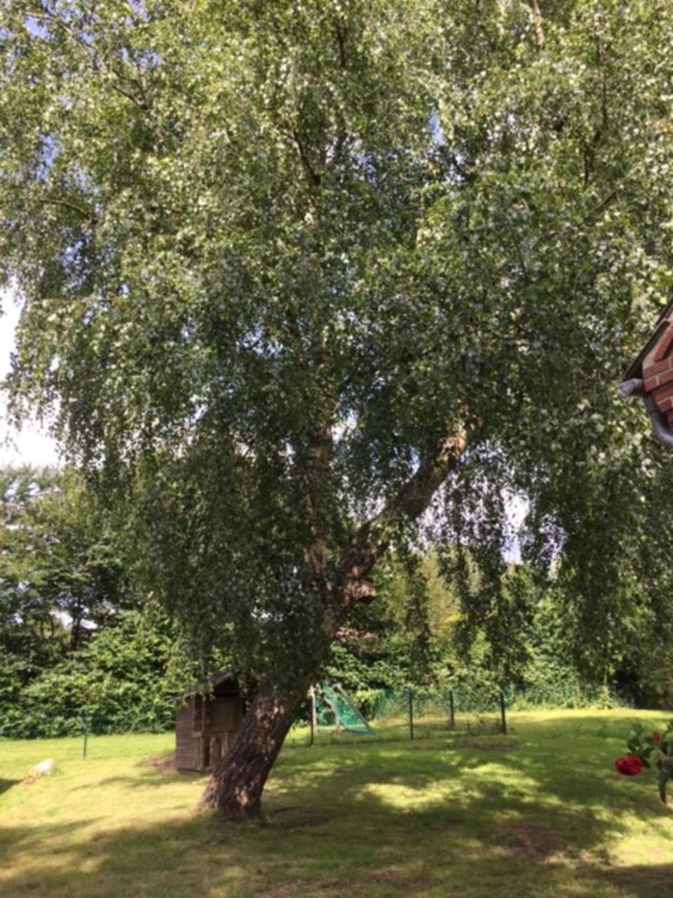 Muehlenweg- Tante Lise Apartman Süderlügum Kültér fotó